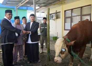 Idul Adha 1447 Hijriah Pemkab Sukabumi Sedekahkan 322 Ekor Hewan Kurban, Ini Yang Disampaikan Bupati