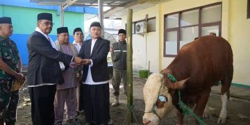 Idul Adha 1447 Hijriah Pemkab Sukabumi Sedekahkan 322 Ekor Hewan Kurban, Ini Yang Disampaikan Bupati