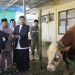 Idul Adha 1447 Hijriah Pemkab Sukabumi Sedekahkan 322 Ekor Hewan Kurban, Ini Yang Disampaikan Bupati