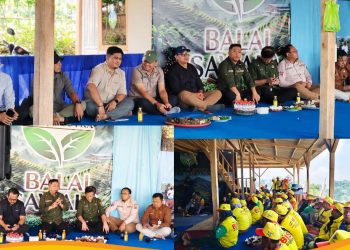 Kadis Perkim Bersama Wakil Bupati Sukabumi Gelar Penanaman Perdana Masyarakat Petani Bagja Sutra