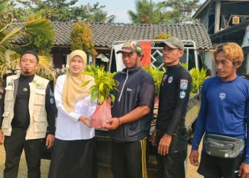 Dinas Perikanan Kab. Sukabumi Distribusikan Bantuan Ratusan Bibit Mangrove